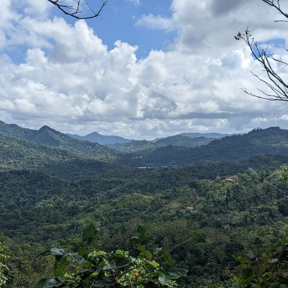 View View