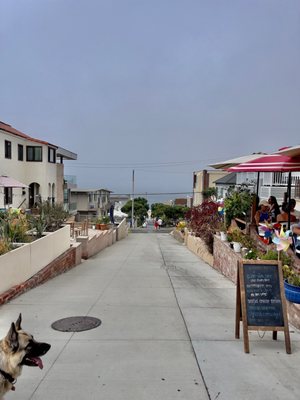 Ocean View Cafe by null