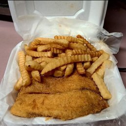 Tilapia