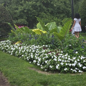 Boston Public Garden - Parks Near Me - Boston, Massachusetts