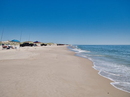 Island Beach State Park by null
