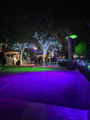 Christmas Town Tampa Bay by null