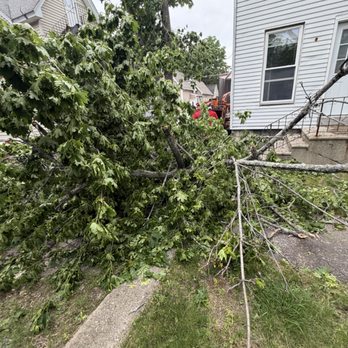 DR Tree Service - Tree Services Near Me - Nashua, New Hampshire DR Tree Service - Tree Services Near Me - Nashua, New Hampshire