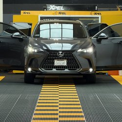 Deluxe Tint Coat Protect