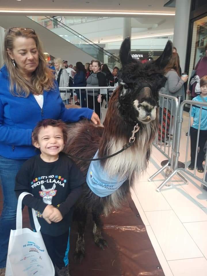 Fraser Coon Rapids - grief counselor in Coon Rapids, MN