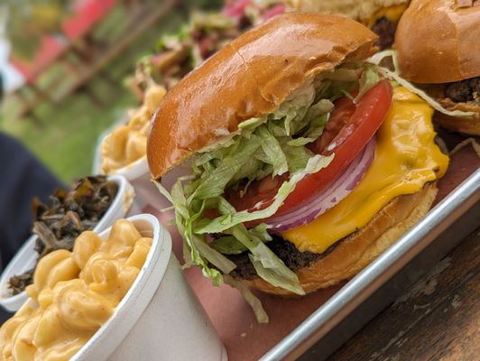 Flying Ace Farm by null