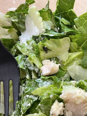 Chopt Creative Salad Co. by null