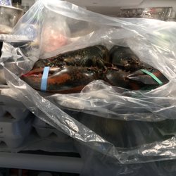 Setauket Seafood - Two huge fresh lobsters from Setauket seafood