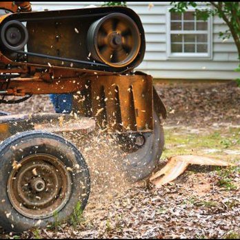 Integrity Tree - Stump Grinding - Tree Services Near Me