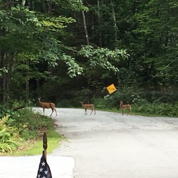 Elm Brook Park - Traffic jam at the entrance - Parks Near Me - Hopkinton, New Hampshire Elm Brook Park - Traffic jam at the entrance - Parks Near Me - Hopkinton, New Hampshire