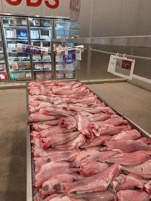 Peoria Packing Butcher Shop by null