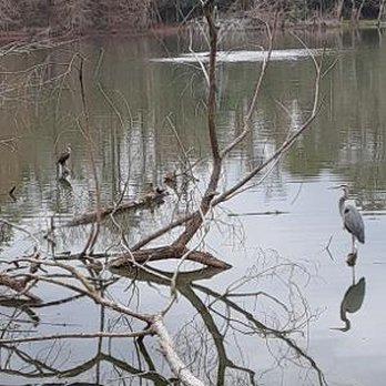 San Luis Mission Park - Hiking Near Me - Tallahassee, Florida