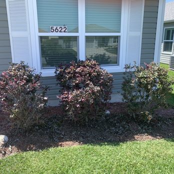 RMR Landscaping - Before - Landscaping Near Me - Lady Lake, Florida RMR Landscaping - Before - Landscaping Near Me - Lady Lake, Florida