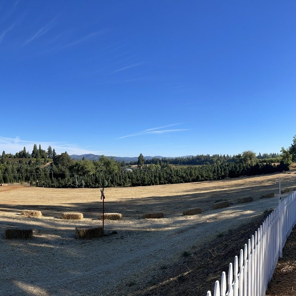 Boa Vista Orchards - View from the pumpkin patch. - Fruits & Veggies Near Me - Placerville, California