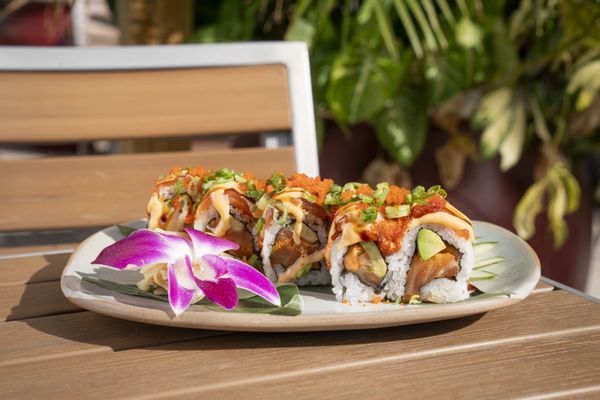 Jackson's Bistro, Bar & Sushi of Tampa by null