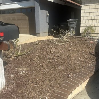 Lobato Landscaping - After Surf Side - Landscaping Near Me Lobato Landscaping - After Surf Side - Landscaping Near Me