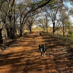 Bobcat Creek Rv Park - Walking trail