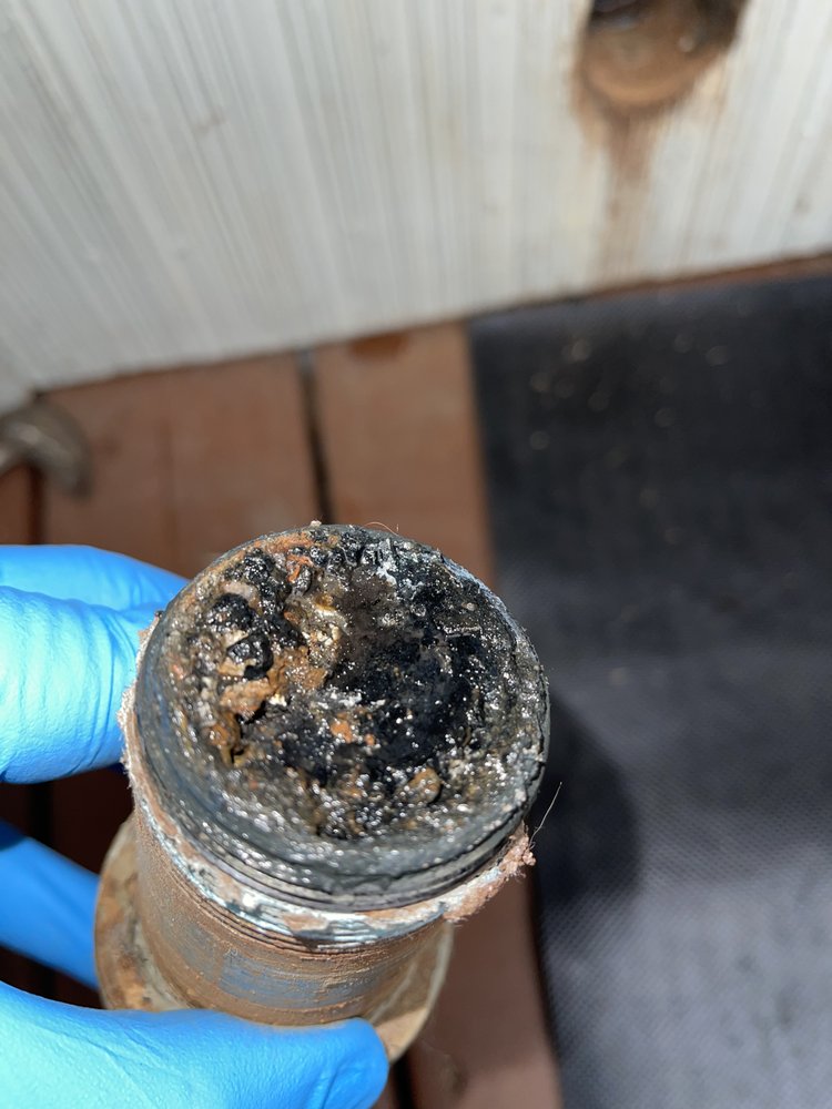 Slide of Busy Bee Drain