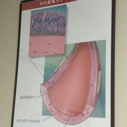 Schafer Gary R MD - Pictures in exam room