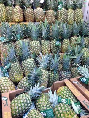 Whole Foods Market by null