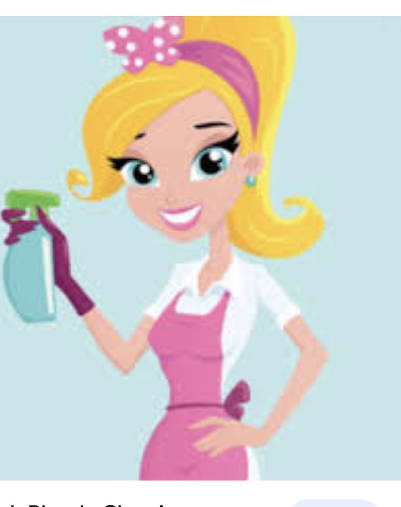 BINGHAM’S BRILLIANT SHINY SPACES Cosby, Tennessee Car Wash Phone