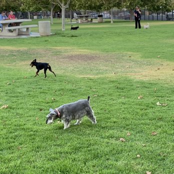 Pat Merritt Dog Park - Dog Parks Near Me - Riverside, California Pat Merritt Dog Park - Dog Parks Near Me - Riverside, California