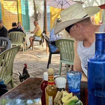 Blue Heaven - Rooster stare down - Breakfast & Brunch Near Me - Key West, Florida Blue Heaven - Rooster stare down - Breakfast & Brunch Near Me - Key West, Florida