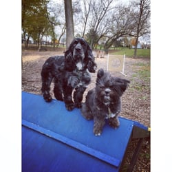 Bo's Run - Their first time at Bo's and they had a blast!