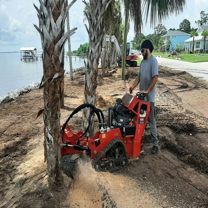 REDWINE’S TREE SERVICE Updated September 2024 50 Photos 535 Key