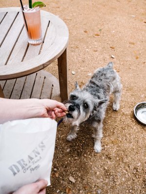 The LINE Austin by null