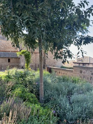 Mezquita del Cristo de la Luz by null