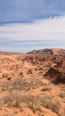 Dreamland Safari Tours by null