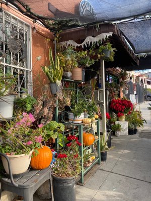 Zenaida's café by null