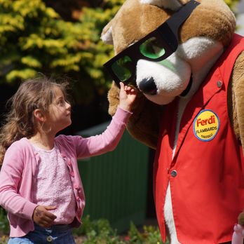 The Flambards Experience - Ferdi the Fox at Flambards - Amusement Parks Near Me - Helston, CON The Flambards Experience - Ferdi the Fox at Flambards - Amusement Parks Near Me - Helston, CON