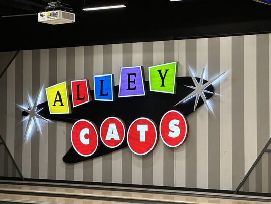 Alley Cats Entertainment by null
