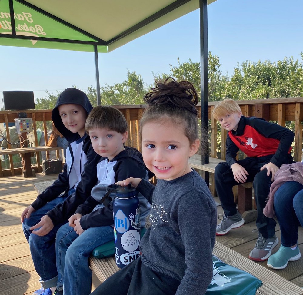 MCKELLAR FAMILY FARMS Updated October 2024 25 Photos 32988 Rd 164, Ivanhoe, California