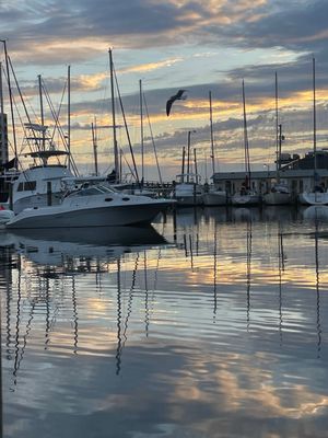 Bayou Joes Marina & Grill by null