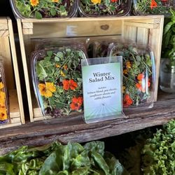 Greenhouse Gardens - Edible flowers in a salad? How pretty is that?