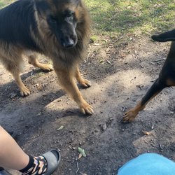 City Of Katy Dog Park