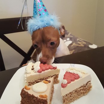 Three Dog Bakery - yummy pup cakes for my pups 1st birthday! dont worry he shared with his two other siblings! - Pet Stores Near Me - Las Vegas, Nevada Three Dog Bakery - yummy pup cakes for my pups 1st birthday! dont worry he shared with his two other siblings! - Pet Stores Near Me - Las Vegas, Nevada