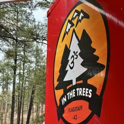 3 IN THE TREES