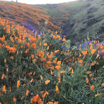 Walker Canyon Ecological Reserve - Wildlife Hunting Ranges Near Me