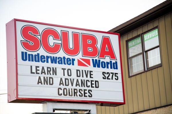 Underwater World by null