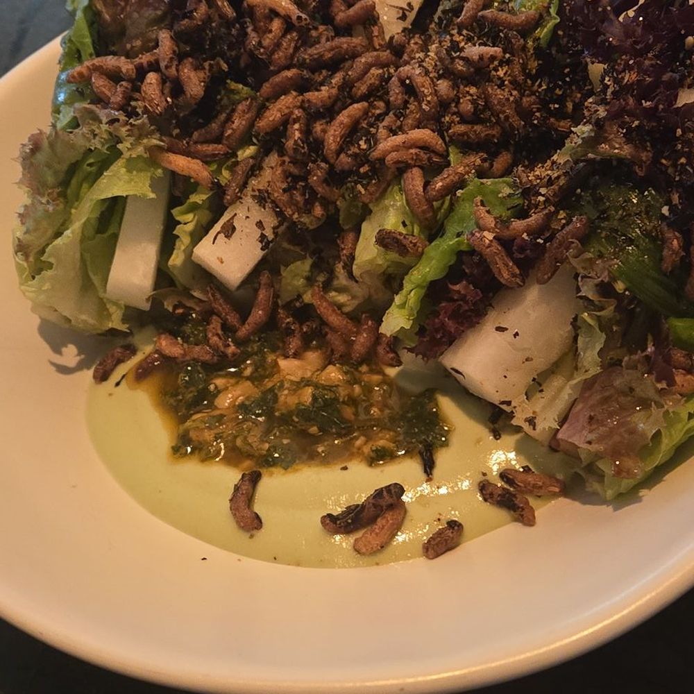 Uchi DC - Sushi Bars Near Me - Washington, DC, District of Columbia Uchi DC - Sushi Bars Near Me - Washington, DC, District of Columbia