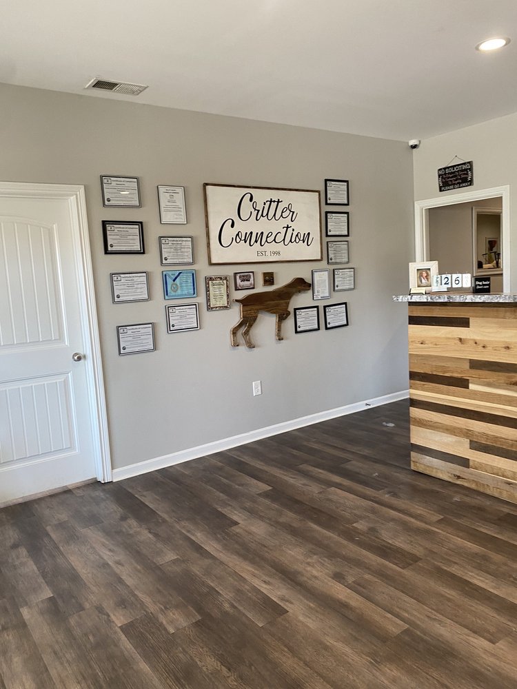 Critter Connection - pet boarding facility in Mount Washington, KY