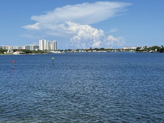 Manatee Lagoon by null