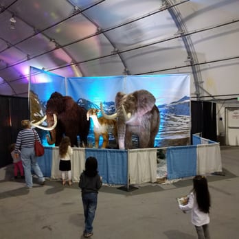 Discover the Dinosaurs - Are these even dinosaurs? - Performing Arts Near Me - Daly City, California