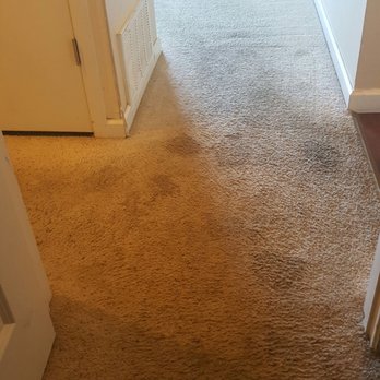 Cleaner Carpets - Carpet Cleaning Near Me - Alameda, California Cleaner Carpets - Carpet Cleaning Near Me - Alameda, California