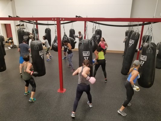 The Sporting Club at The Bellevue by null