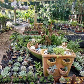 Bamboo And Orchid Gardens - Landscaping Near Me - Davie, Florida Bamboo And Orchid Gardens - Landscaping Near Me - Davie, Florida